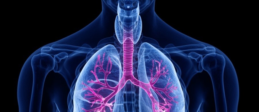 Każdy oddech ma znaczenie – jak wspierać układ oddechowy